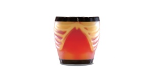 01-fantoma-de-ecografia-abdominal-con-patologias-abdfan-us-1b-de-kyoto-kagaku