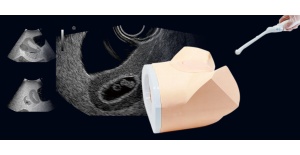 Fantoma de ultrasonido pélvico femenino US-10, US-10A, US-10B, US-10C, US-10D de Kyoto Kagaku