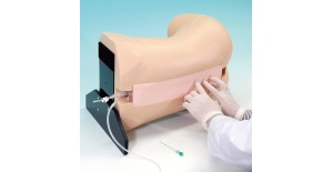 02-entrenador-de-puncion-lumbar-y-maniqui-de-practica-con-aguja-epidural-mw3-de-kyoto-kagaku