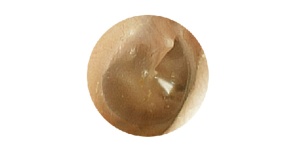 Simulador de examen de oído EAR II MW12 de Kyoto Kagaku