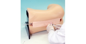 03-entrenador-de-puncion-lumbar-y-maniqui-de-practica-con-aguja-epidural-mw3-de-kyoto-kagaku