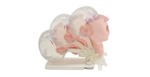 04-simulador-avanzado-de-cuidado-oral-mw29-de-kyoto-kagaku