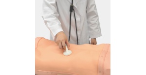 04-simulador-de-exploracion-abdominal-abdoabby-mw43-de-kyoto-kagaku