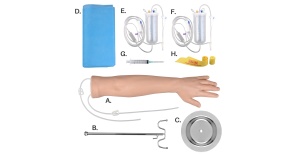 brazo-mano-multivenoso-ph03-135a-human3d-2