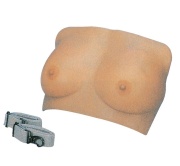 modelo-de-examen-de-mama-xc-418-de-Human3D