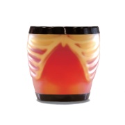 01-fantoma-de-ecografia-abdominal-con-patologias-abdfan-us-1b-de-kyoto-kagaku