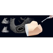 Fantoma de ultrasonido pélvico femenino US-10, US-10A, US-10B, US-10C, US-10D de Kyoto Kagaku