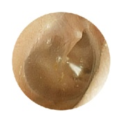 Simulador de examen de oído EAR II MW12 de Kyoto Kagaku