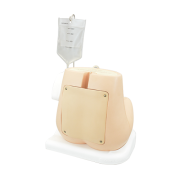 02-simulador-de-puncion-lumbar-iia-m43b-de-kyoto-kagaku