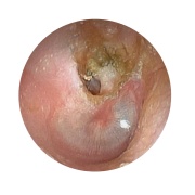 Simulador de examen de oído EAR II MW12 de Kyoto Kagaku