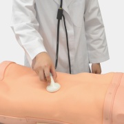 04-simulador-de-exploracion-abdominal-abdoabby-mw43-de-kyoto-kagaku