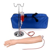 brazo-mano-multivenoso-ph03-135a-human3d-1