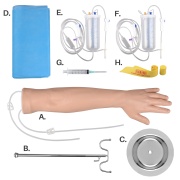 brazo-mano-multivenoso-ph03-135a-human3d-2