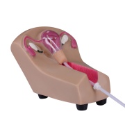 modelo-utero-diu-ph03-333-human3d-1